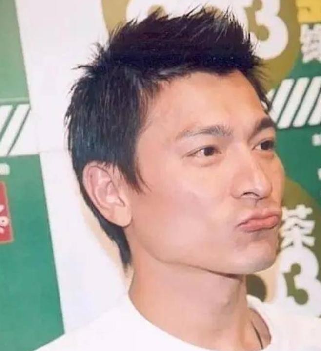 起初,刘德华将位于四川的一家名为“刘德华板鸭”的店铺告上了法庭。