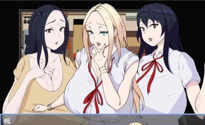 [日系RPG/汉化]色情商业街 机翻汉化版[PC+安卓][1.1G/百度]』